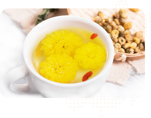 始建于2015年，實(shí)力雄厚